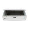 Epson Expression 13000XL Large Format Flatbed/Film Scanner