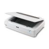Epson Expression 13000XL Large Format Flatbed/Film Scanner